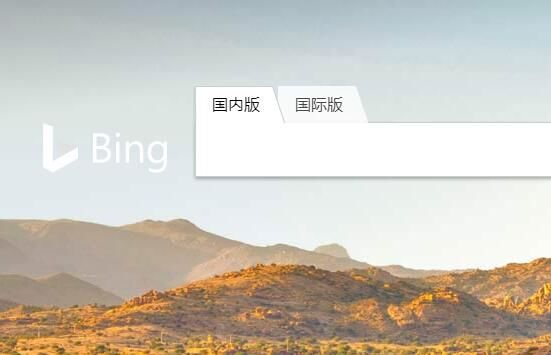 必應(yīng)搜索被曝包含兒童色情內(nèi)容，微軟：將努力修復(fù)